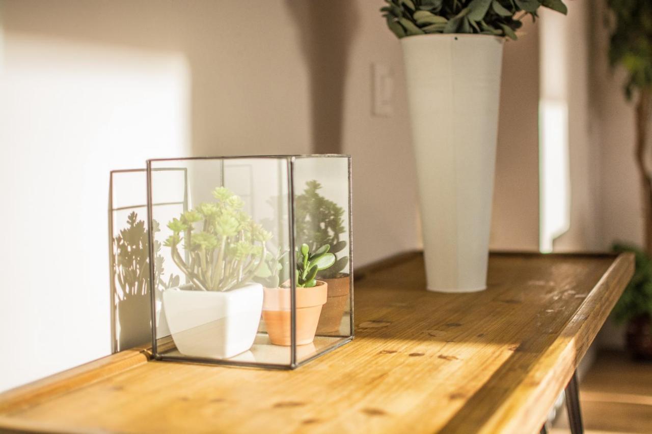 Apartamento Plaza Mayor Caces Zewnętrze zdjęcie